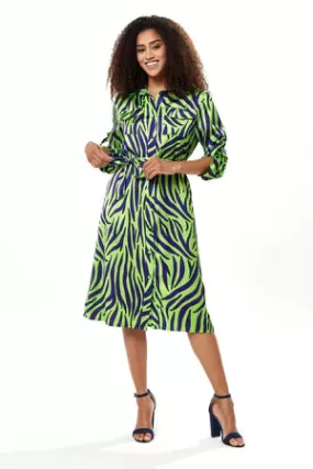 Liquorish Mint And Blue Zebra Print Midi Shirt Dress