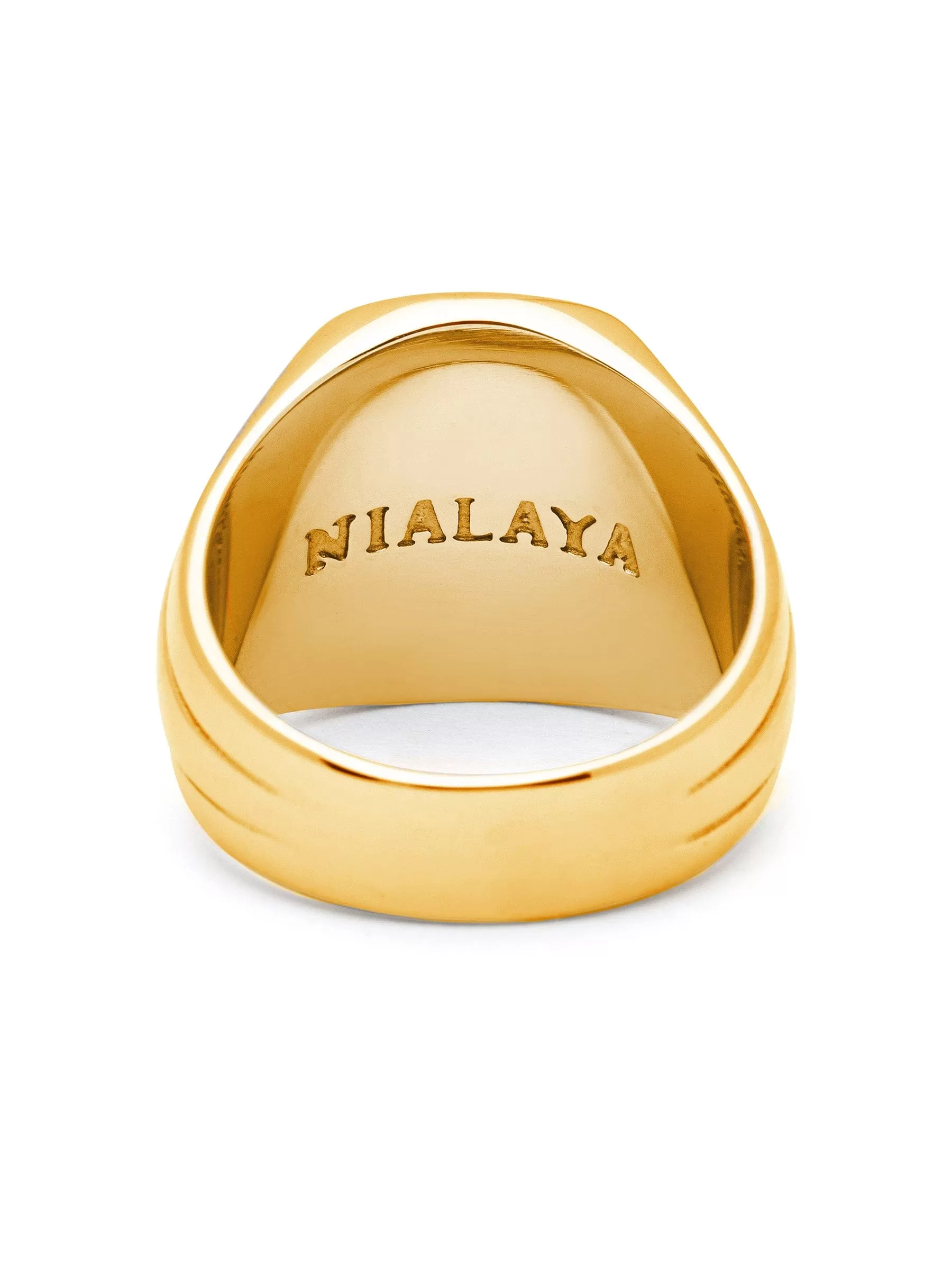 Men's Oblong Gold Plated Signet Ring with Onyx