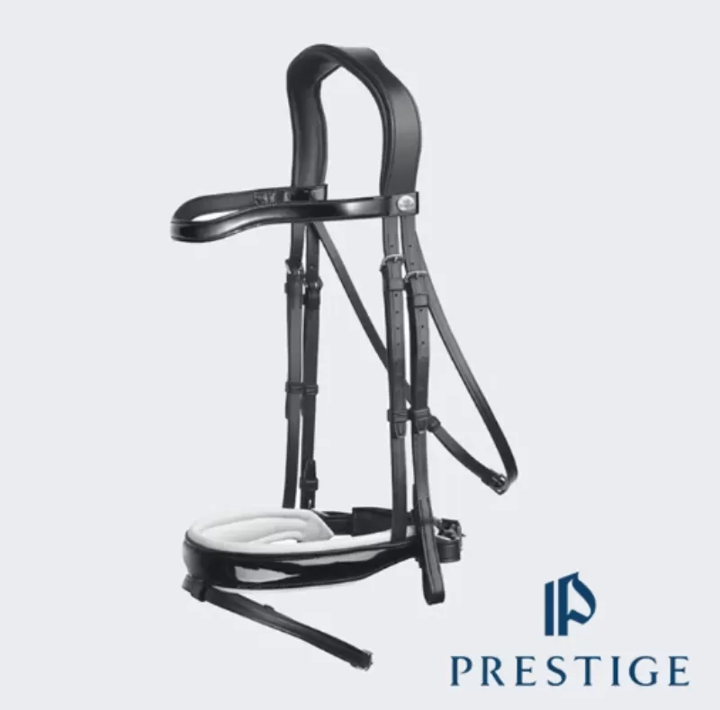 Prestige Bridle Dressage