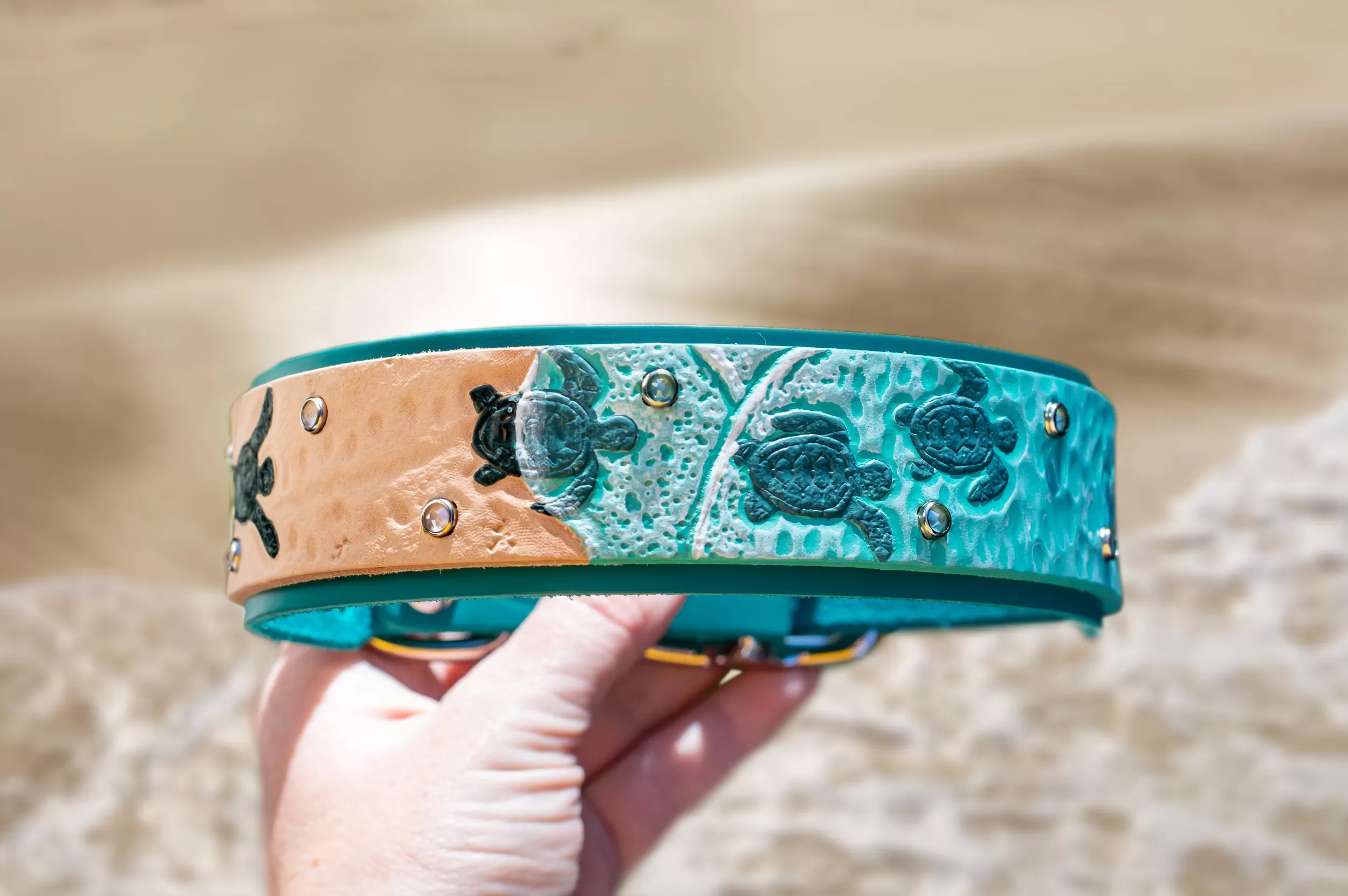 Sea Turtle Dog Collar