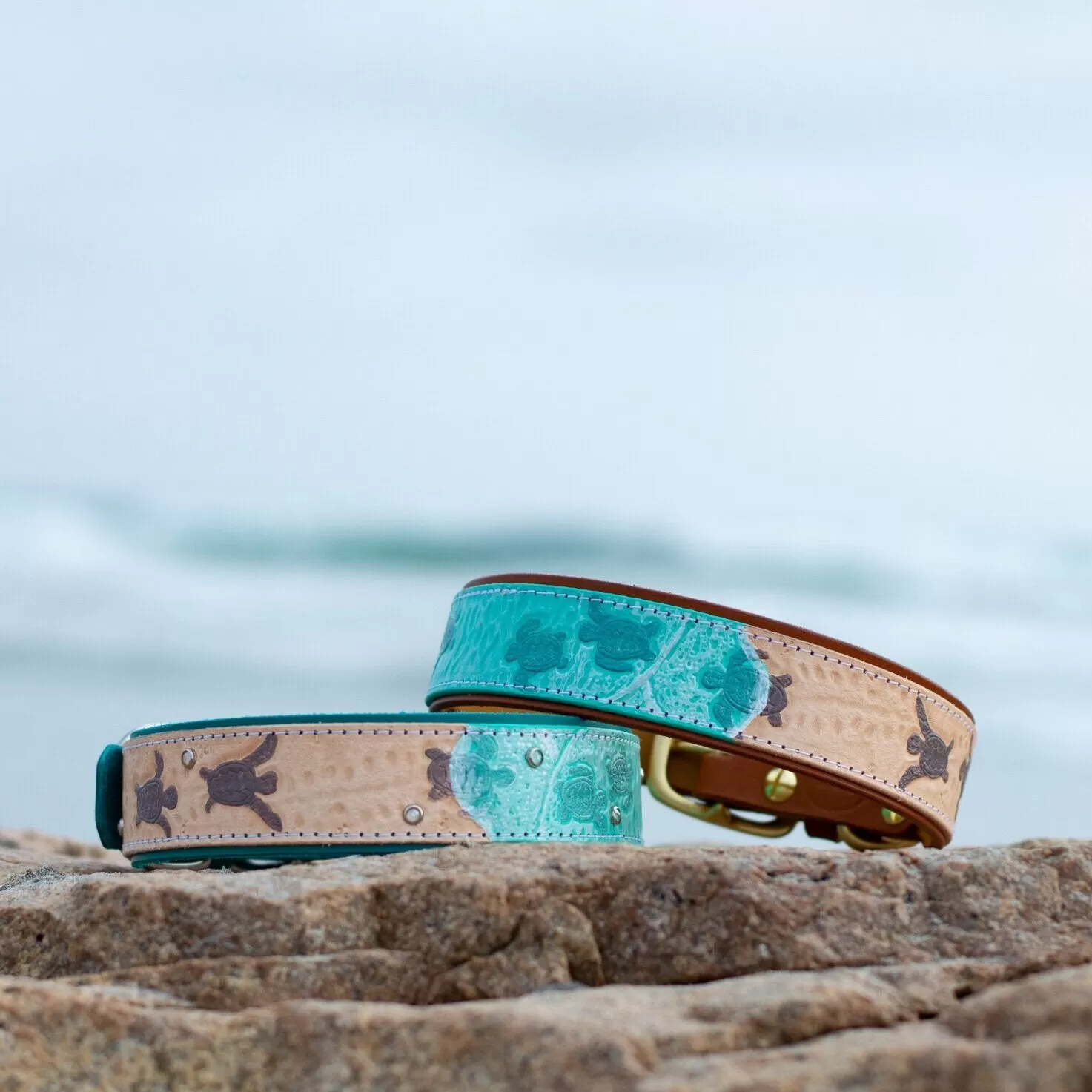 Sea Turtle Dog Collar