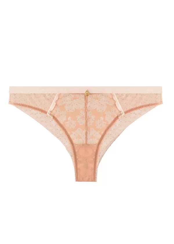 ZARINA Lace Comfortable Dotted Mesh Tanga Briefs