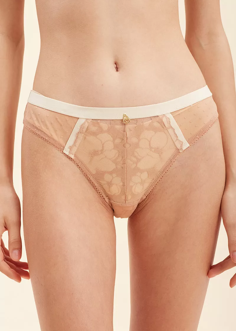 ZARINA Lace Comfortable Dotted Mesh Tanga Briefs